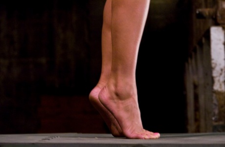 Latina with big natural tits Charley Chase gets stripped and bound with rope